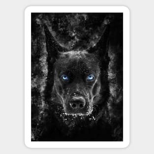 Black wolf for sale sales